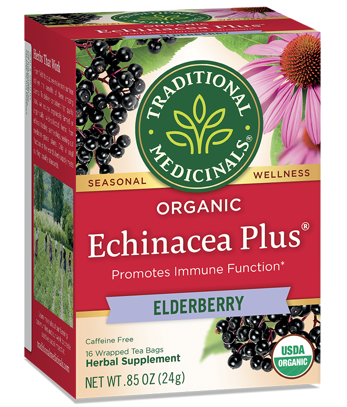 Traditional Medicinals Echinacea + Elderberry Tea (16 Bags) - Lifestyle Markets