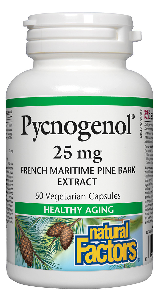 Natural Factors Pycnogenol (25mg) (60 Vegetarian Capsules) - Lifestyle Markets