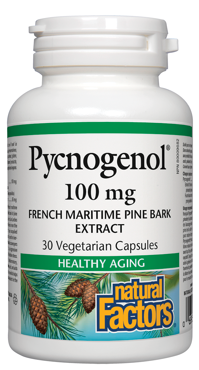 Natural Factors Pycnogenol (100mg) (30 Vegetarian Capsules) - Lifestyle Markets