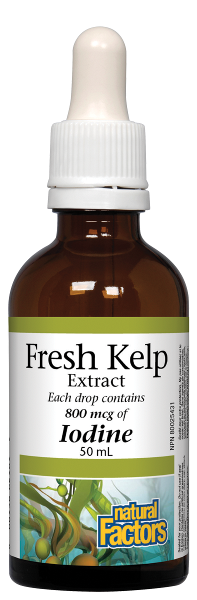 Natural Factors Fresh Kelp Extract (50ml) - Lifestyle Markets