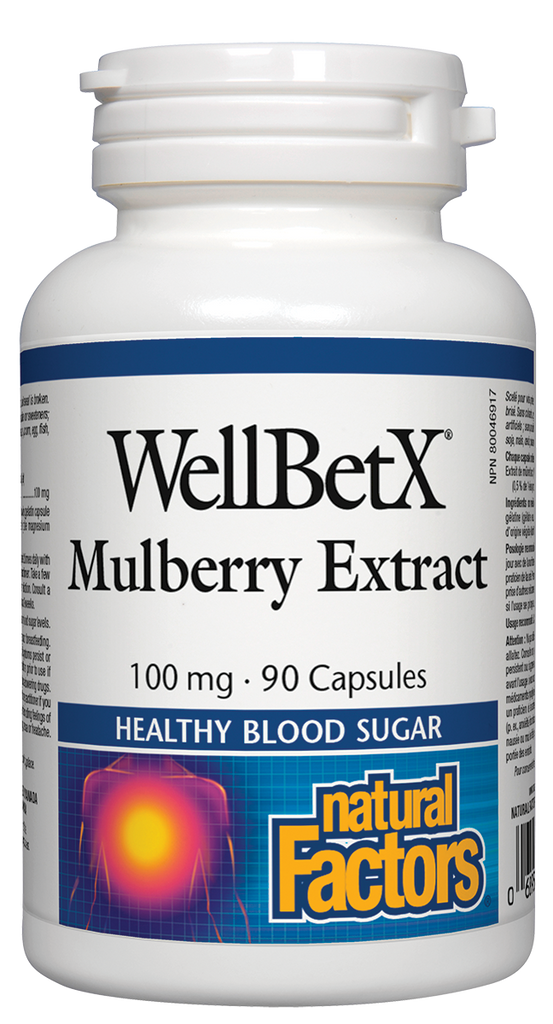 Natural Factors WellBetX Mulberry Extract (100 mg) (90 Capsules) - Lifestyle Markets