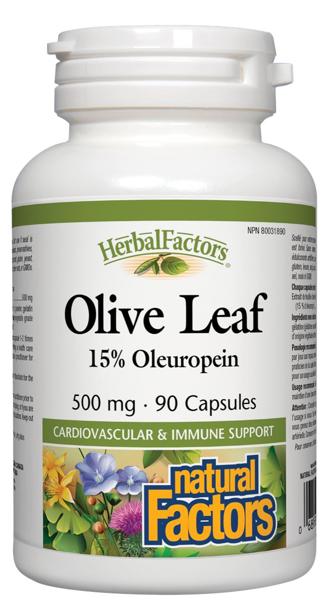 Natural Factors Olive Leaf (500 mg) (90 Capsules) - Lifestyle Markets