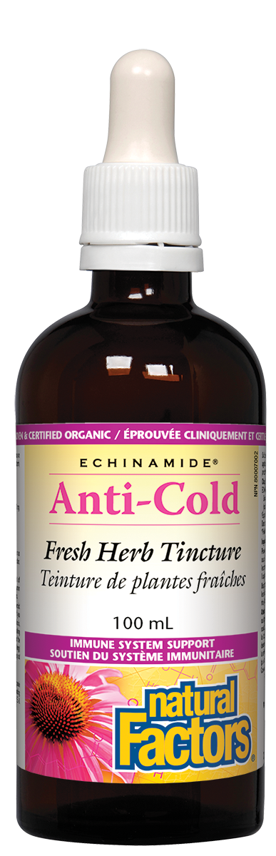Natural Factors Echinamide Anti-Cold Fresh Herb Tincture (100ml) - Lifestyle Markets