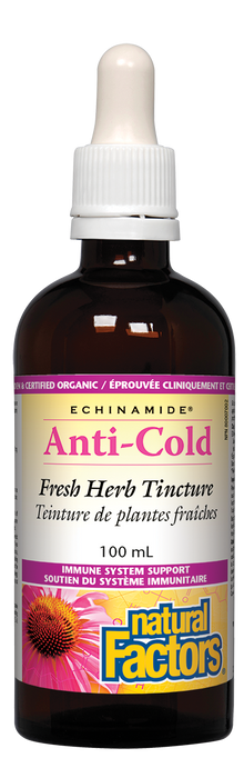 Natural Factors Echinamide Anti-Cold Fresh Herb Tincture (100ml) - Lifestyle Markets