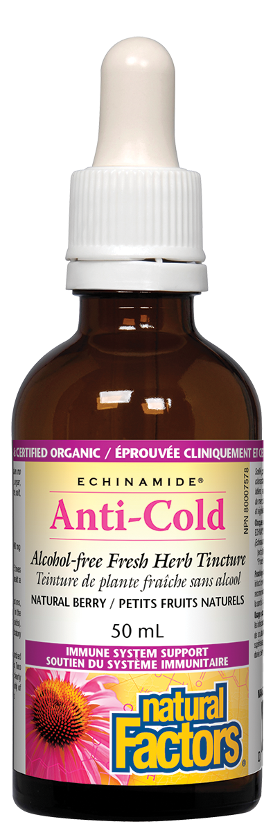 Natural Factors Echinamide Berry Flavoured Alcohol Free Tincture (50ml) - Lifestyle Markets