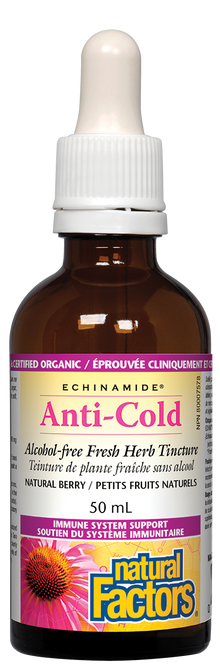 Natural Factors Echinamide Berry Flavoured Alcohol Free Tincture (50ml) - Lifestyle Markets