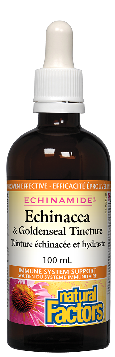 Natural Factors Echinamide Echinacea & GoldenSeal Tincture (100ml) - Lifestyle Markets