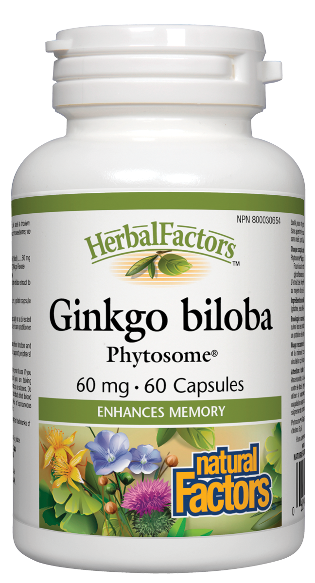 Natural Factors Ginkgo Biloba Phytosome (60mg) (60 Capsules) - Lifestyle Markets
