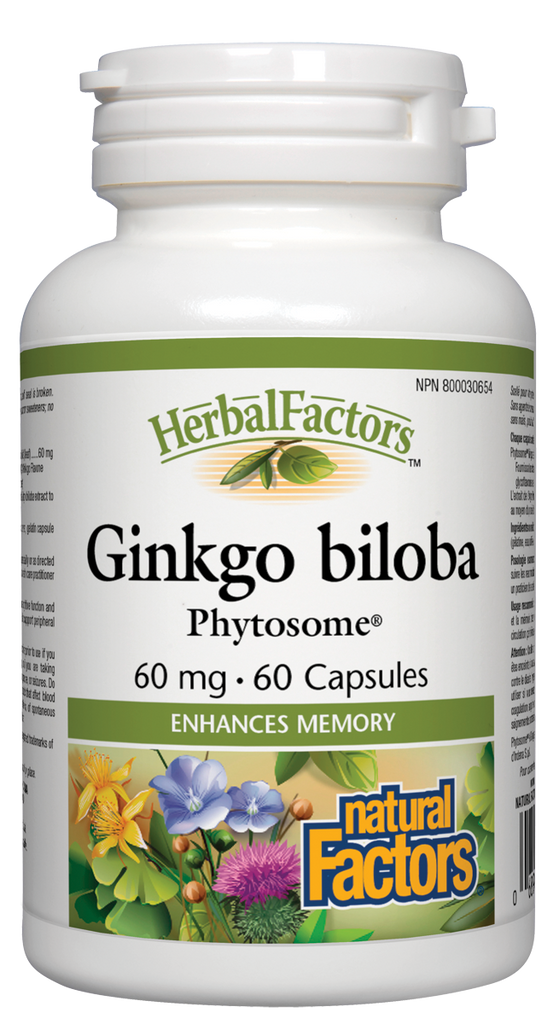 Natural Factors Ginkgo Biloba Phytosome (60mg) (60 Capsules) - Lifestyle Markets