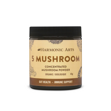 Harmonic Arts 5 Mushroom (45g) - Lifestyle Markets