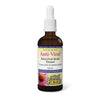 Natural Factors Echinamide Anti-Viral Tincture (100ml) - Lifestyle Markets