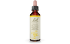 Bach Cerato (20ml) - Lifestyle Markets