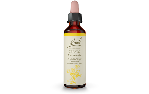 Bach Cerato (20ml) - Lifestyle Markets