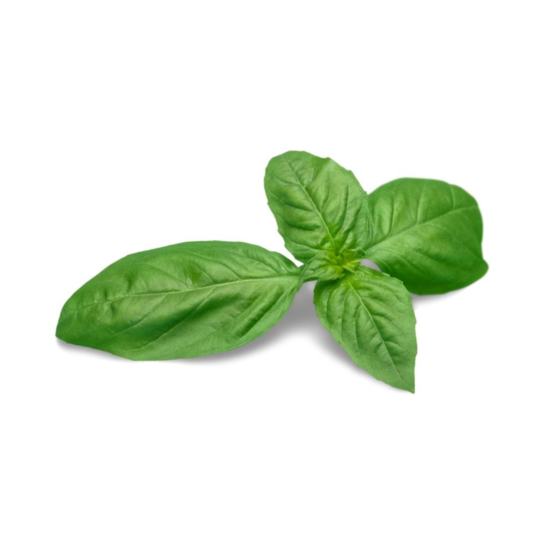 Certified Organic Basil (Each) - Lifestyle Markets
