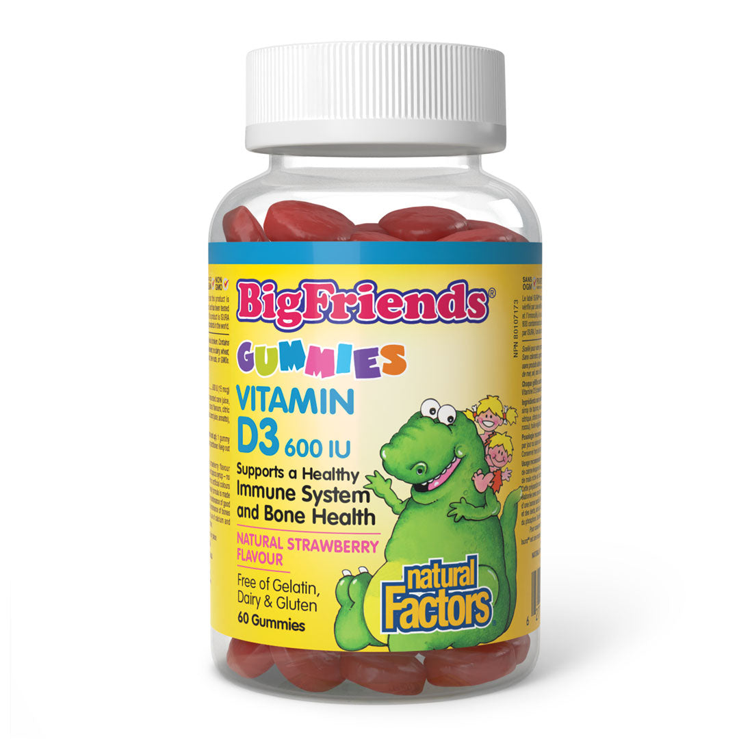 Natural Factors Big Friends D3 600IU (90 Gummies) - Lifestyle Markets