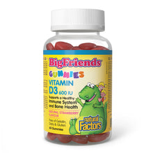 Natural Factors Big Friends D3 600IU (90 Gummies) - Lifestyle Markets