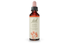 Bach Aspen (20ml) - Lifestyle Markets