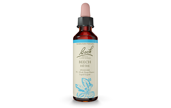 Bach Beech (20ml) - Lifestyle Markets