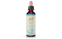 Bach Beech (20ml) - Lifestyle Markets
