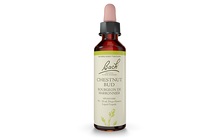 Bach Chestnut Bud (20ml) - Lifestyle Markets