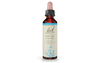 Bach Chicory (20ml) - Lifestyle Markets