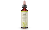 Bach Clematis (20ml) - Lifestyle Markets