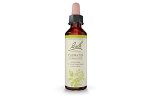 Bach Clematis (20ml) - Lifestyle Markets