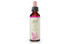 Bach Elm (20ml) - Lifestyle Markets