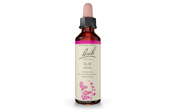 Bach Elm (20ml) - Lifestyle Markets