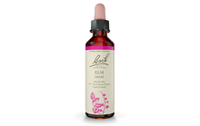 Bach Elm (20ml) - Lifestyle Markets