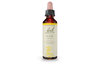 Bach Gorse (20ml) - Lifestyle Markets