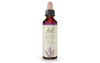 Bach Heather (20ml) - Lifestyle Markets