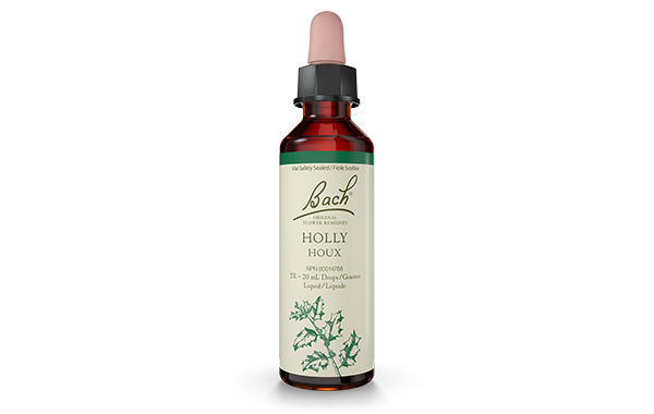 Bach Holly (20ml) - Lifestyle Markets