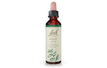 Bach Holly (20ml) - Lifestyle Markets