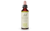 Bach Honeysuckle (20ml) - Lifestyle Markets