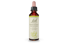 Bach Honeysuckle (20ml) - Lifestyle Markets
