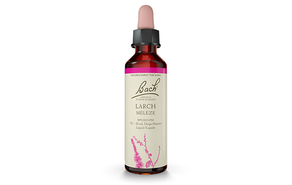 Bach Larch (20ml) - Lifestyle Markets