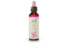 Bach Oak (20ml) - Lifestyle Markets