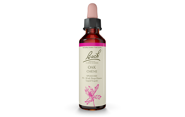 Bach Oak (20ml) - Lifestyle Markets