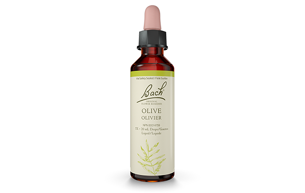 Bach Olive (20ml) - Lifestyle Markets