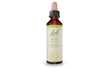 Bach Olive (20ml) - Lifestyle Markets
