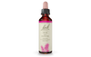 Bach Pine (20ml) - Lifestyle Markets