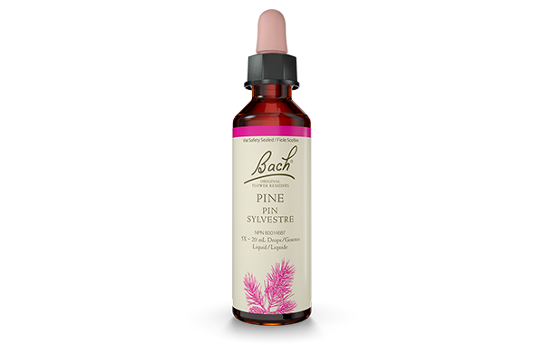Bach Pine (20ml) - Lifestyle Markets