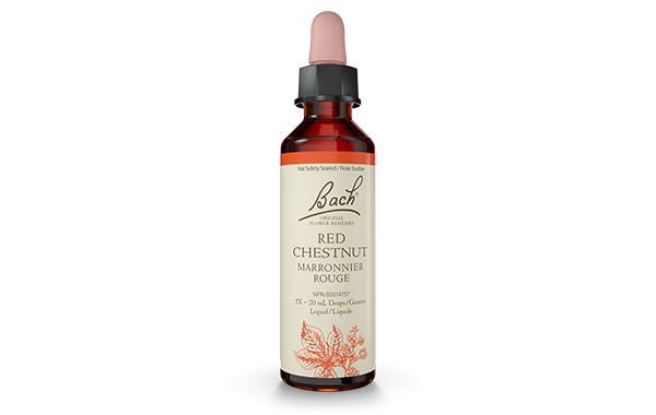 Bach Red Chestnut (20ml) - Lifestyle Markets