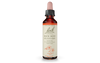 Bach Rock Rose (20ml) - Lifestyle Markets