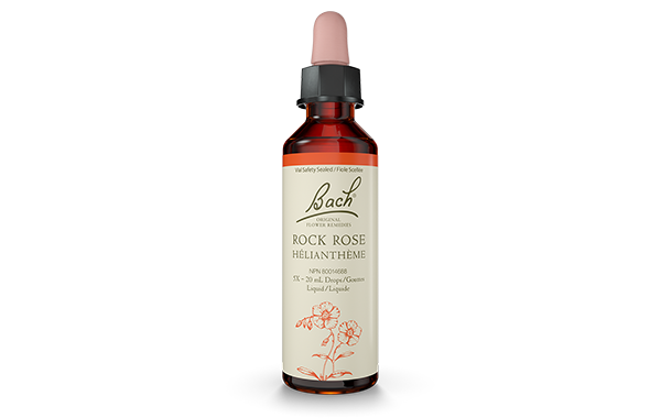 Bach Rock Rose (20ml) - Lifestyle Markets