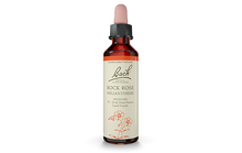 Bach Rock Rose (20ml) - Lifestyle Markets