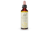 Bach Scleranthus (20ml) - Lifestyle Markets