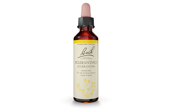 Bach Scleranthus (20ml) - Lifestyle Markets