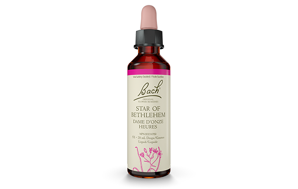 Bach Star of Bethlehem (20ml) - Lifestyle Markets